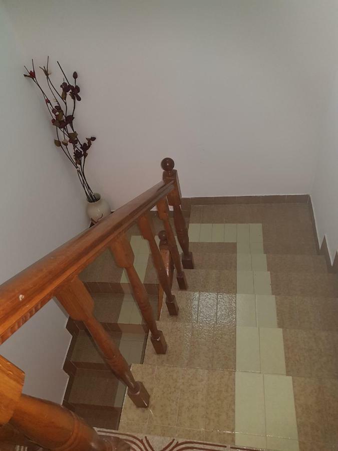 Sobe I Apartmani Marovic Petrovac Zewnętrze zdjęcie